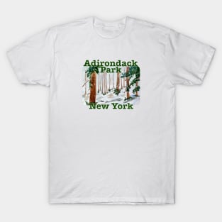 Adirondack Park, New York T-Shirt